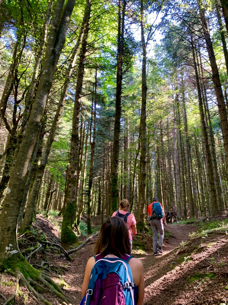 Parco Nazionale Foreste Casentinesi, 7 agosto 2019